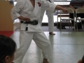 seta_IMG_1110