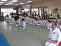 seta_IMG_1116