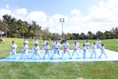 2014 Irvine Global Village Demo