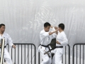 20140803_6612