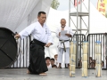 20140803_6664
