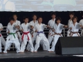 2011_07_24_OCFai_029