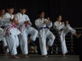 2011_07_24_OCFai_045