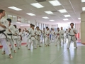 20150322_9953_1.jpg