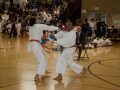 2010_03_28_Wado_005