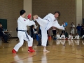 2010_03_28_Wado_018