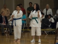 2010_03_28_Wado_100