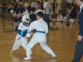 2010_03_28_Wado_106