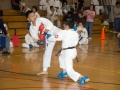 2010_03_28_Wado_157