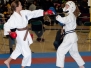 2011 USA Wado-Ryu Karate Championships