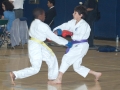2011_03_Wado_007