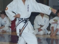 2011_03_Wado_020