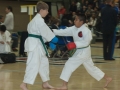 2011_03_Wado_026