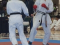 2011_03_Wado_082