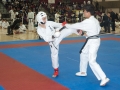 2011_03_Wado_086