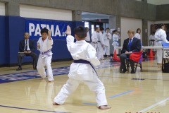 2014 USA Wado-Ryu Karate Championships